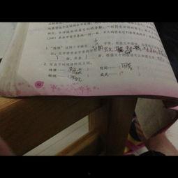 花絮的近义词是什么,探寻同义词的缤纷世界