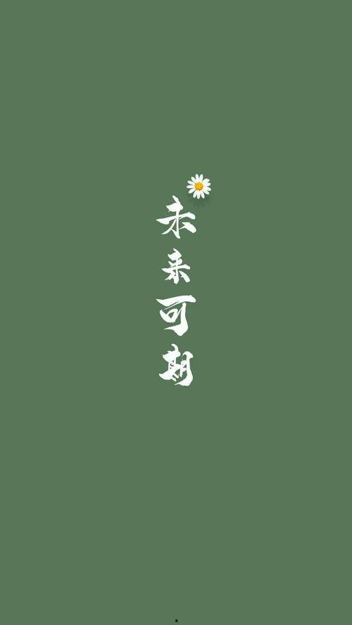 人言图片,解码社会百态